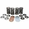Kibblewhite Lightweight Titanium Racing Valve Spring Kit -Camchest Kits Shop 177 601 A V1
