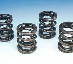 Kibblewhite Valve Spring Set