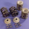 Sifton Valve Spring Set 2 Sifton Valve Spring Set -Camchest Kits Shop 433 665 A V1