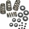 S&S Cycle High Lift Beehive Valve Spring Kit -Camchest Kits Shop 445 441 A V1