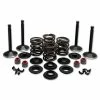 Twin Power Complete Valve & Spring Kit