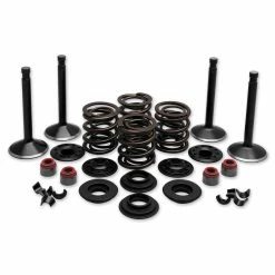 Twin Power Complete Valve & Spring Kit