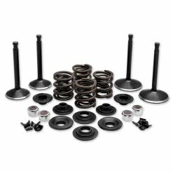 Twin Power Complete Valve & Spring Kit