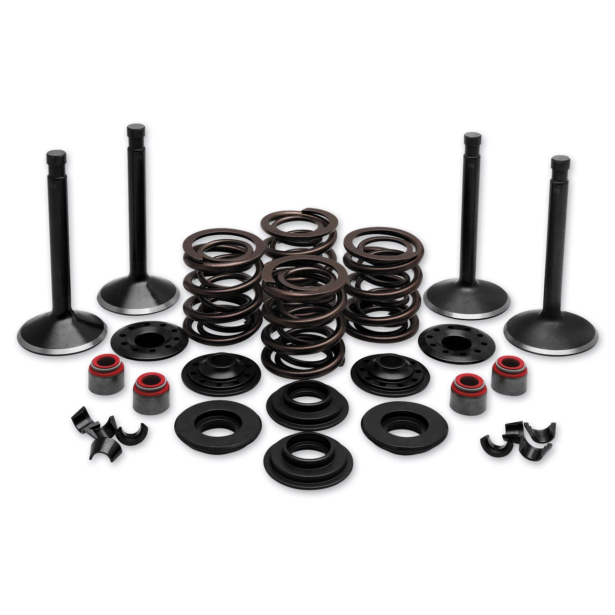 Twin Power Complete Valve & Spring Kit 3 Twin Power Complete Valve & Spring Kit