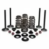 Twin Power Complete Valve & Spring Kit -Camchest Kits Shop 805 704 A V1