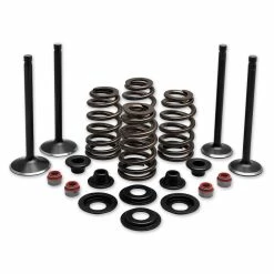 Twin Power Complete Valve & Spring Kit