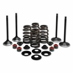 Twin Power Complete Valve & Spring Kit