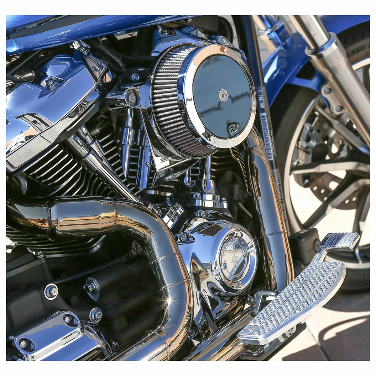 Thrashin Supply Company Dished Points Cover 5 Thrashin Supply Company Dished Points Cover - Image 3